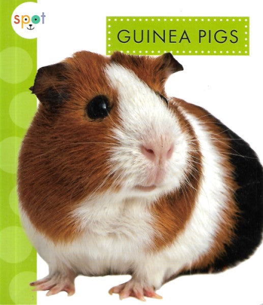 Guinea Pigs