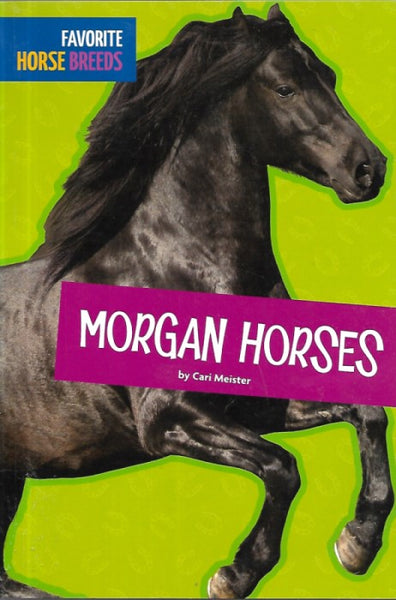 Favorite Horse Breeds: Morgan Horses