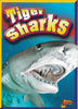 Tiger Sharks