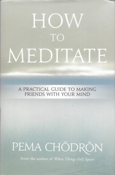 How to Meditate: A Practical Guide to Making Friends with Your Mind